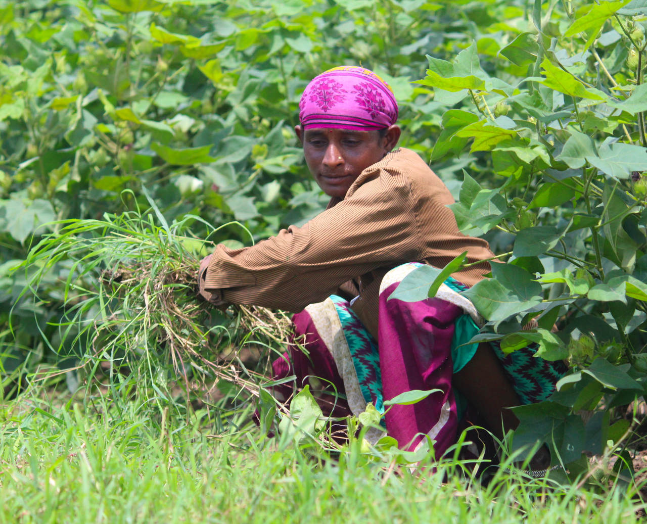 Women, Farming and the Mandi
