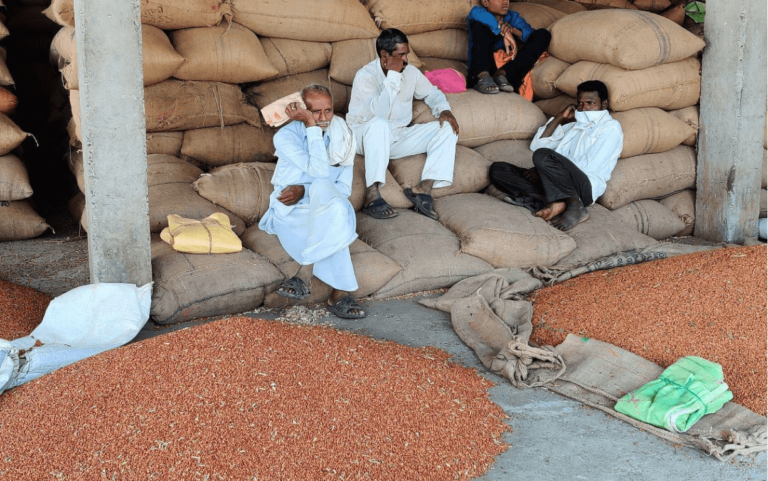 Quality Control and Price Regulation for Farmers in India